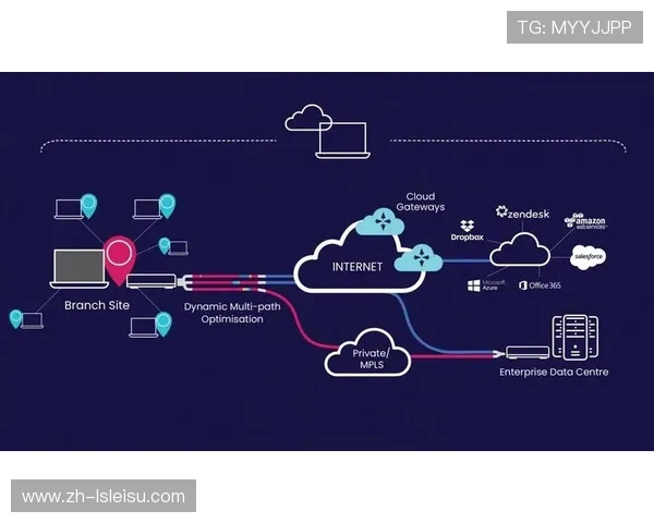 多CDN智能调度系统优化 应对突发流量峰值